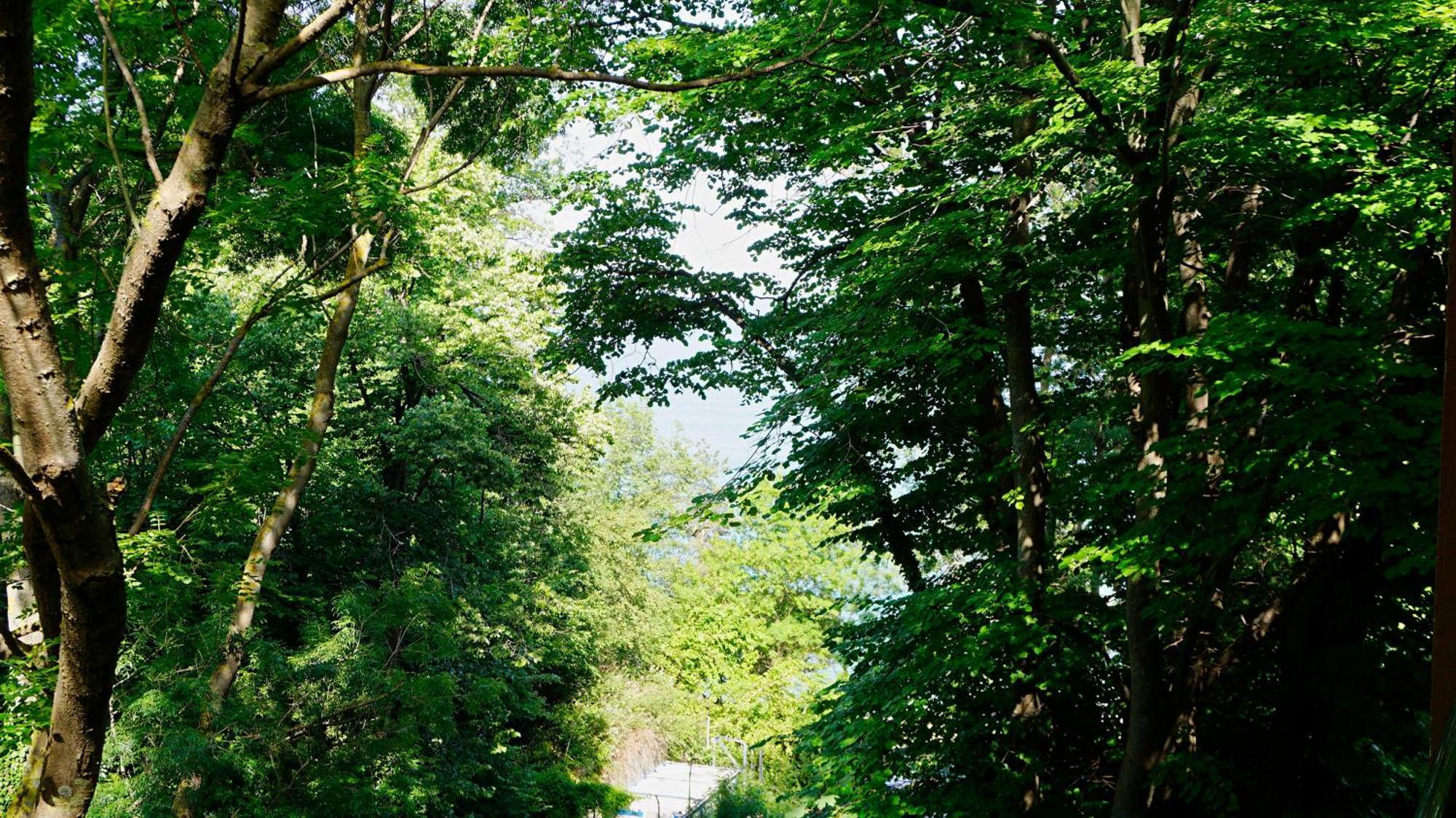 Бяла Клиф Форест - Byala Cliff Forest Exterior foto